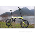 Carbon Fiber 20" City Bike (JXY-BIKE-6)